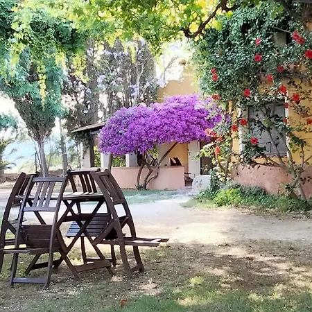 Mas De Bernis - Sequer * L'Aldea